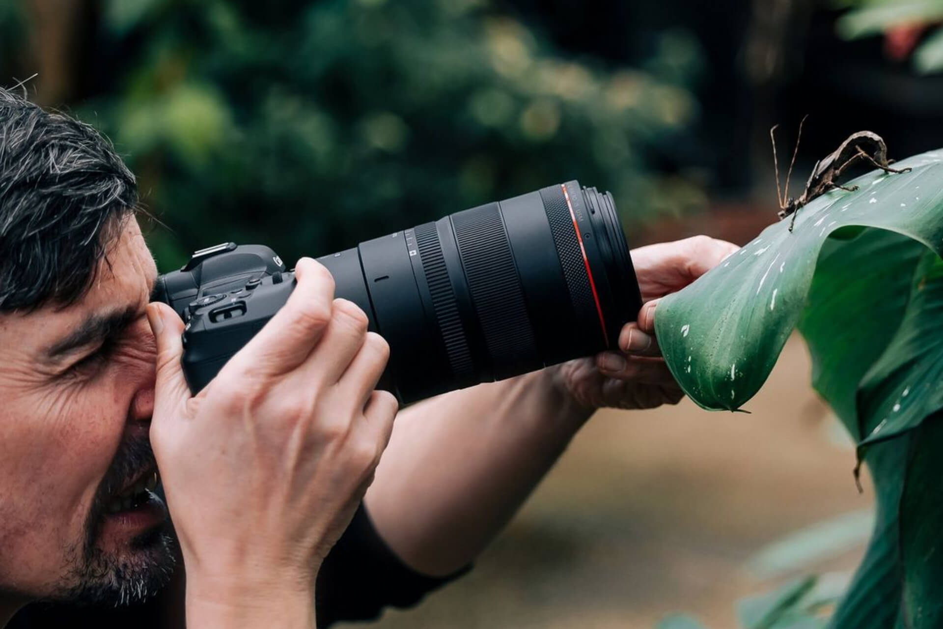 Introduction to Macro Photography: Equipment, Techniques, and Subjects