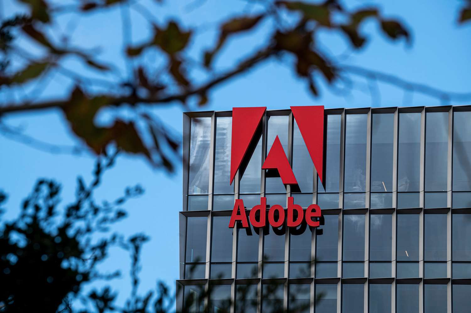 Adobe Stock Tumbles 15% Despite Record Profits as AI Strategy Raises Questions