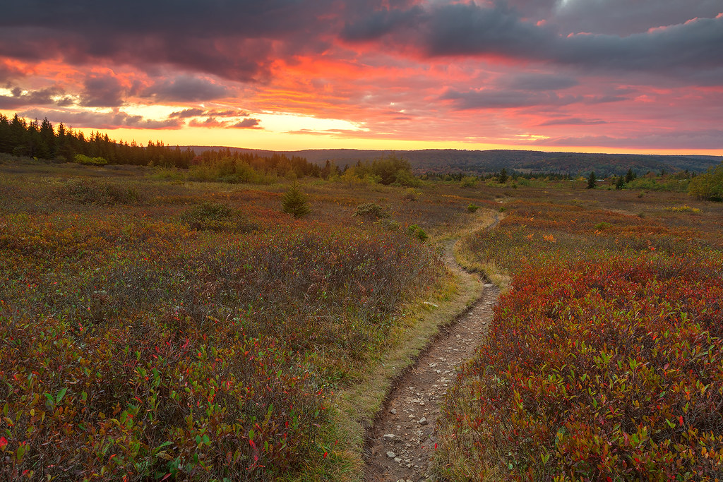 winding dirt trail through an open meadow under a dramatic red and gold sunset sky