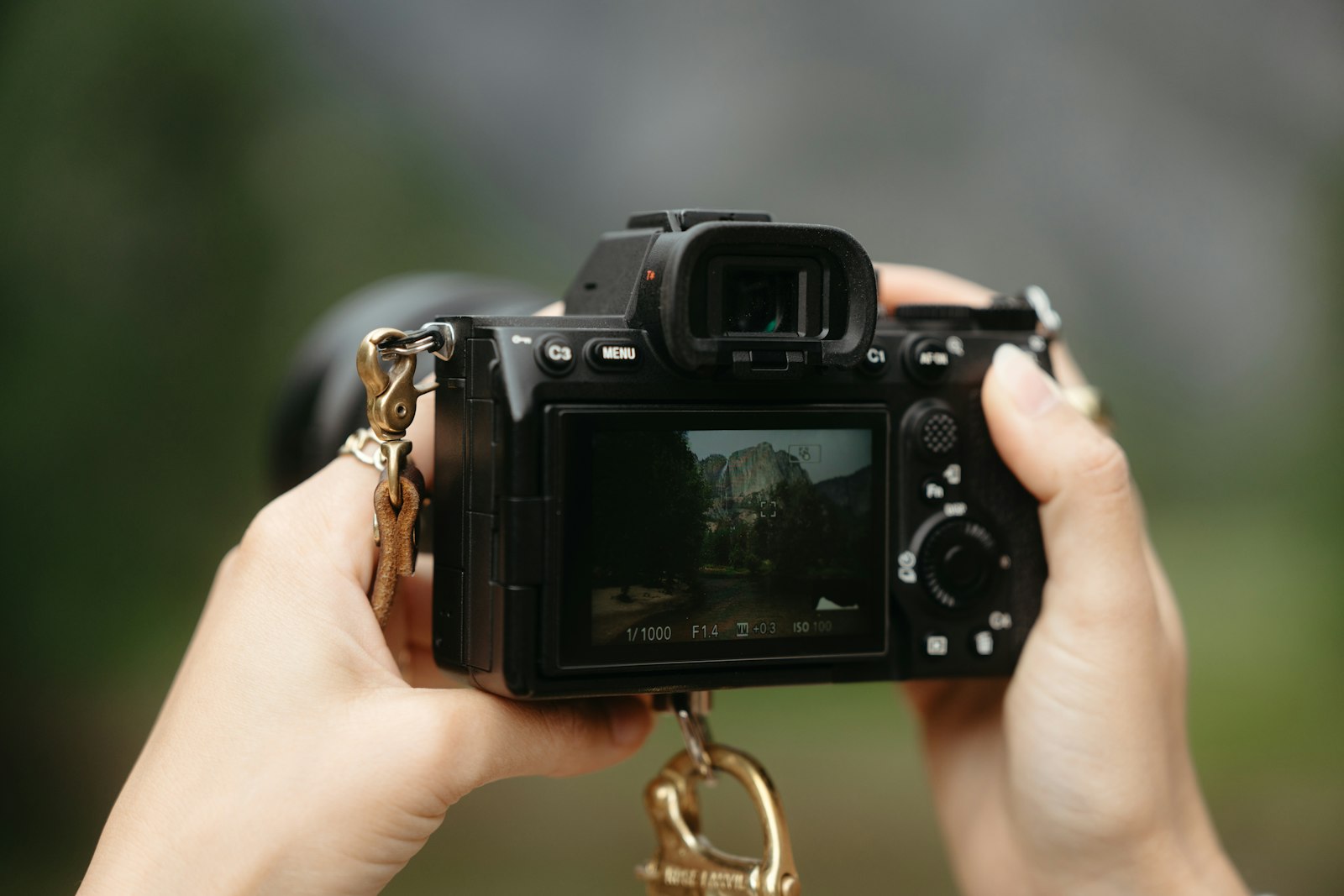 hands holding a mirrorless camera at eye level framing a landscape outdoors