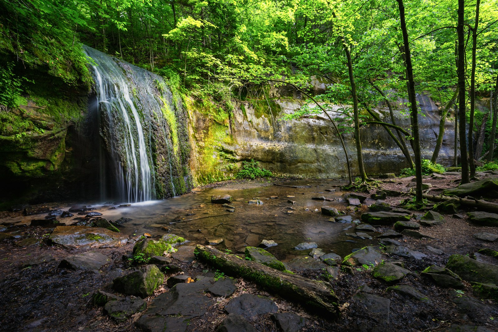 wide angle view of a forest waterfall with rocks and green plants in the foreground