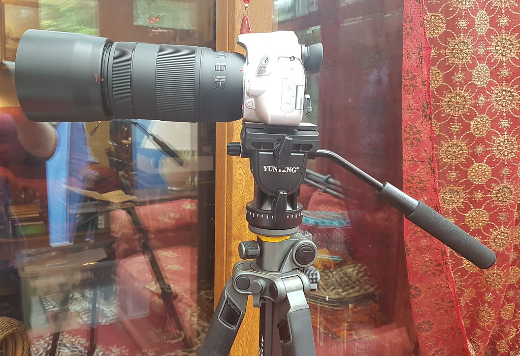 Canon camera with telephoto lens mounted on a fluid head tripod with pan bar