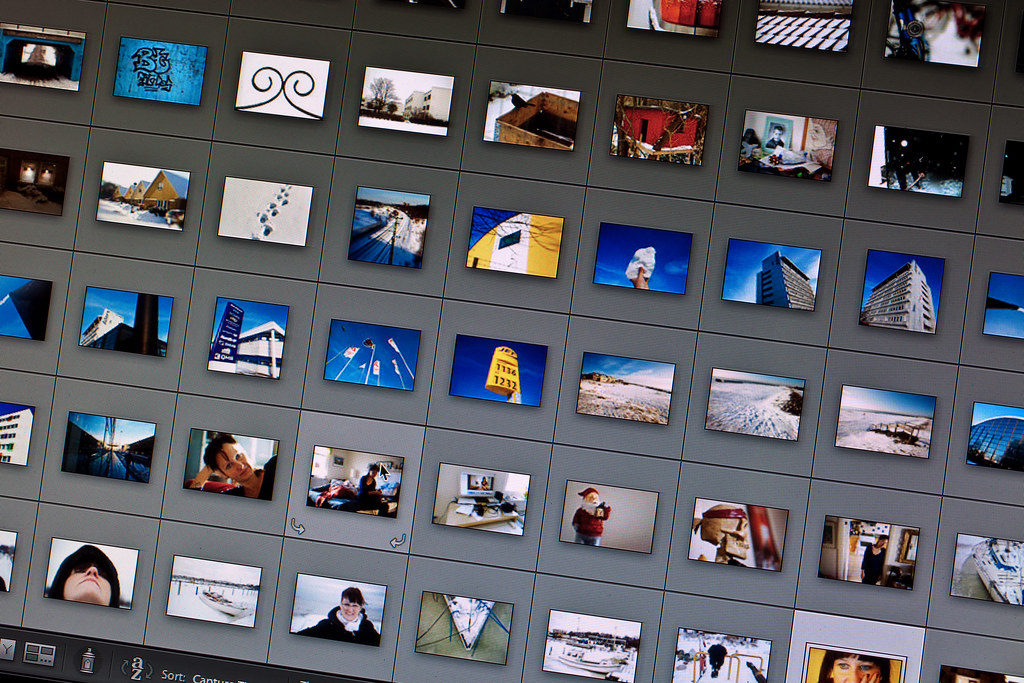 close-up of a computer monitor displaying a grid of thumbnails in photo editing software