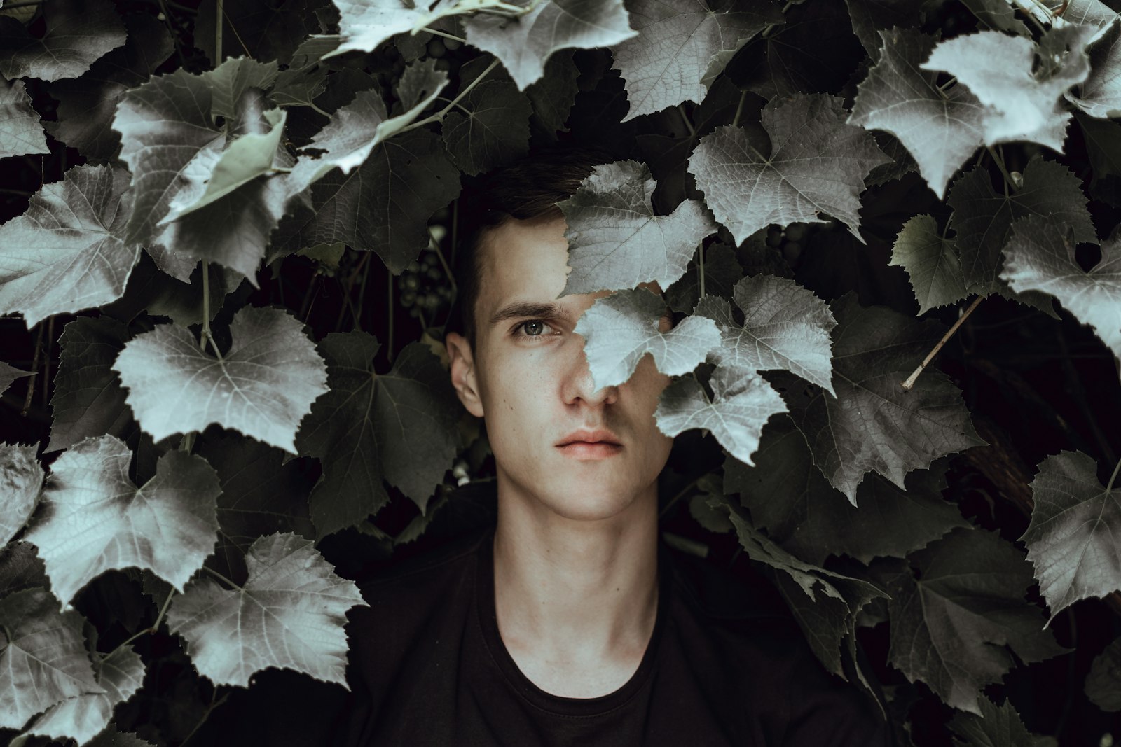 person in dark clothing surrounded by pale garden foliage with a leaf partially covering their face