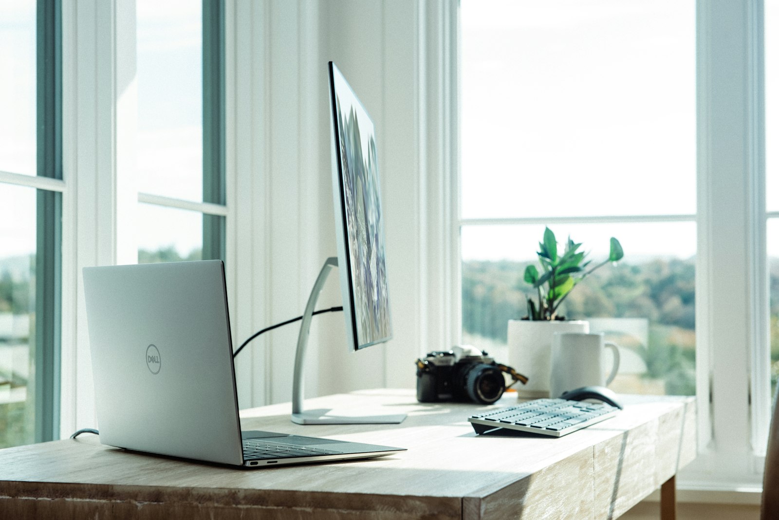 laptop, monitor, digital camera, and potted plant on a wooden desk by a sunlit window